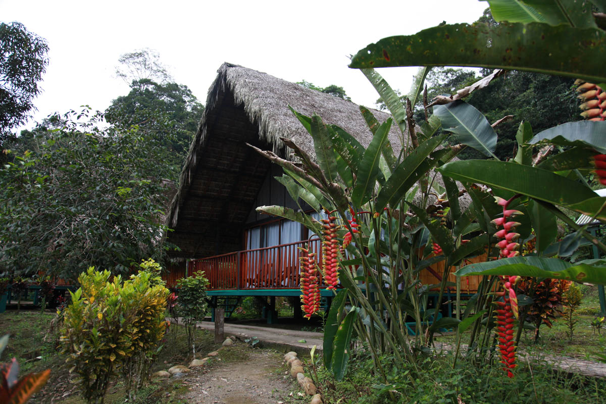 Hut in de Yacumalodge